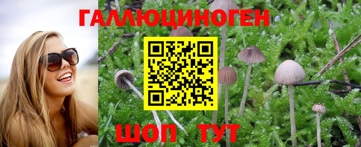 Псилоцибиновые грибы MAGIC MUSHROOMS Гагарин