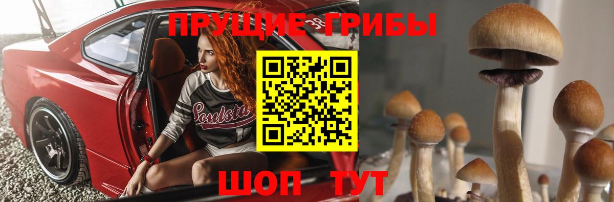 Псилоцибиновые грибы ЛСД  Вход с VPN  Гагарин  Галлюциногенные грибы Psilocybine cubensis 