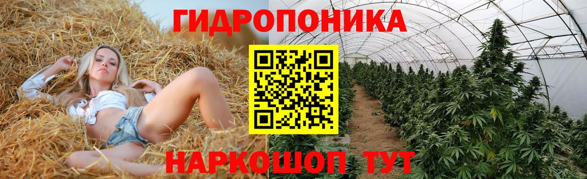 Гагарин  Каннабис SATIVA & INDICA  Бошки марихуана гибрид  Вход с VPN 